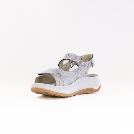 Wolky Adura (Women's) - Floral Print Beige