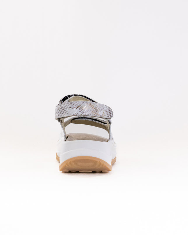 Wolky Adura (Women's) - Floral Print Beige