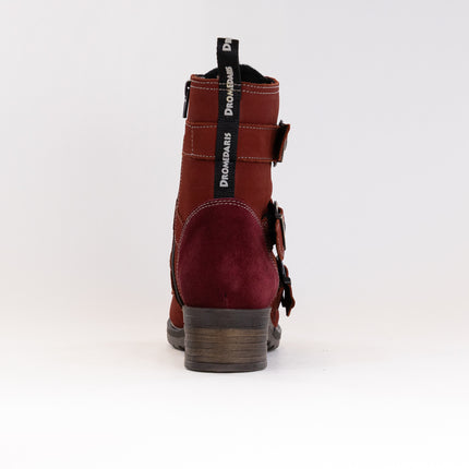 Dromedaris Klara (Women's) - Garnet