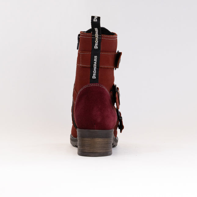 Dromedaris Klara (Women's) - Garnet