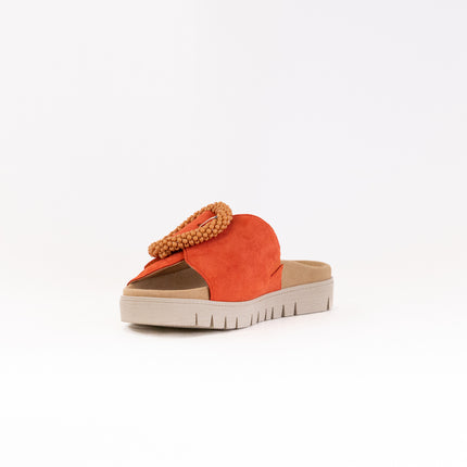 Gabor 63.745 Sandal (Women's) - Pumpkin