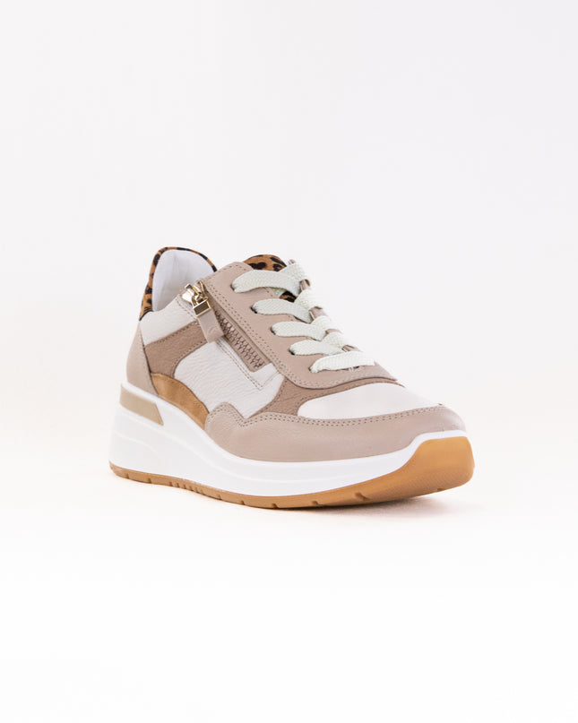 Ara Garda (Women's) - Shell/Cream/Sand/Biscuit