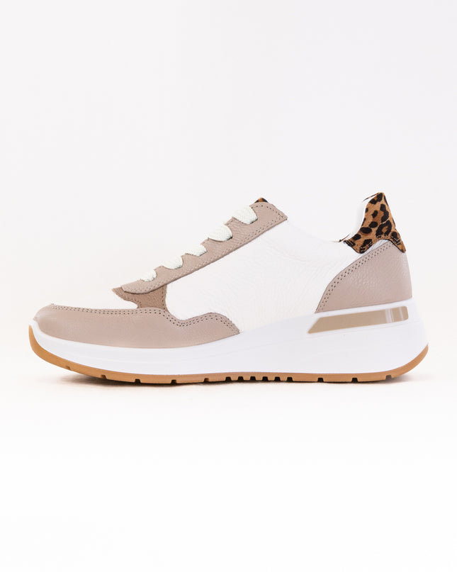 Ara Garda (Women's) - Shell/Cream/Sand/Biscuit