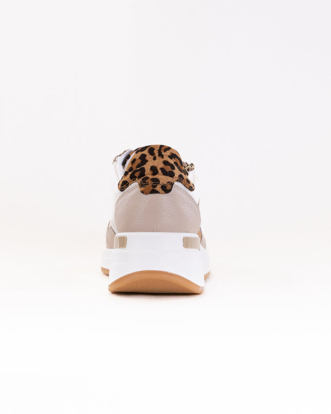 Ara Garda (Women's) - Shell/Cream/Sand/Biscuit
