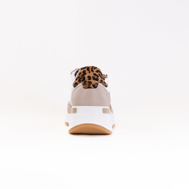 Ara Garda (Women's) - Shell/Cream/Sand/Biscuit