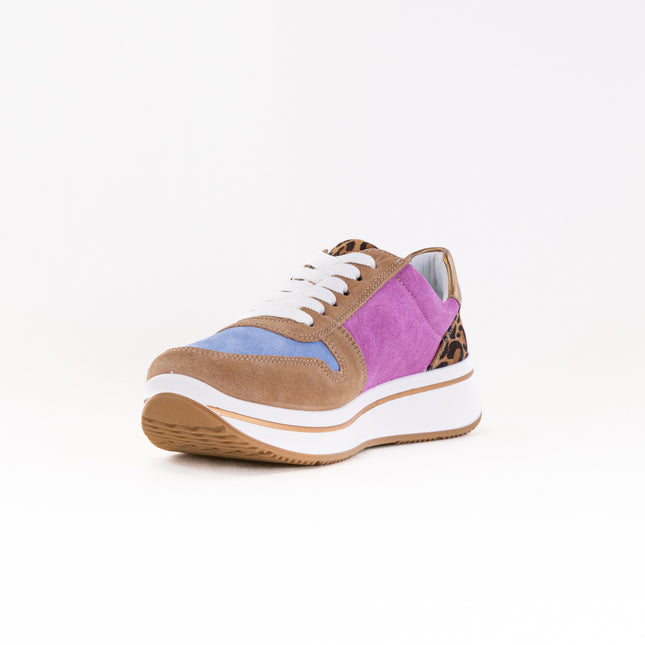 Ara Oleanna (Women's) - Brown/Pink/Leopard