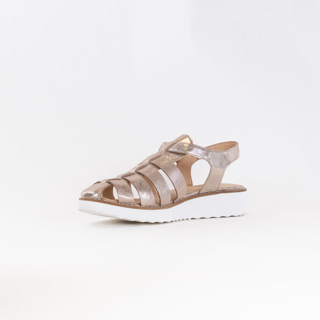 Django & Juliette Oblight (Women's) - Platino Scratch Leather