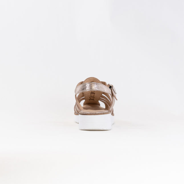Django & Juliette Oblight (Women's) - Platino Scratch Leather