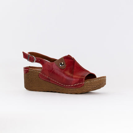 V-Italia 846 Sandal (Women's) - Red