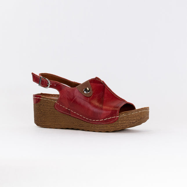 V-Italia 846 Sandal (Women's) - Red