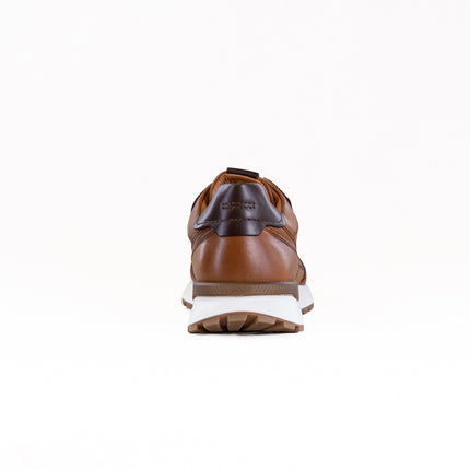 ECCO Astir Neo Sneaker (Men's) - Brown