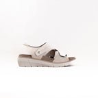 36 / BEIGE