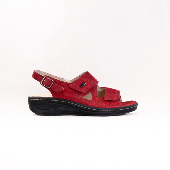 Fidelio Vienna Sandal (Women's) - Earth