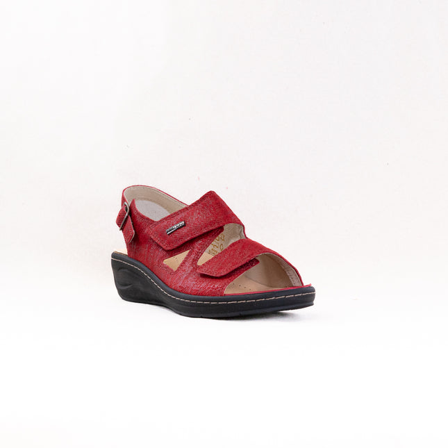 Fidelio Vienna Sandal (Women's) - Earth