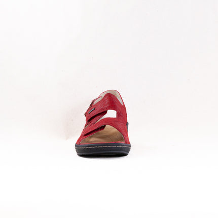 Fidelio Vienna Sandal (Women's) - Earth