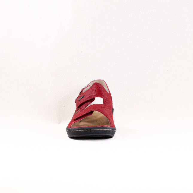 Fidelio Vienna Sandal (Women's) - Earth