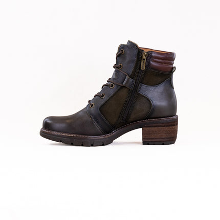 Pikolinos San Sebastian W1T-8979C1 (Women's) - Forest Leather