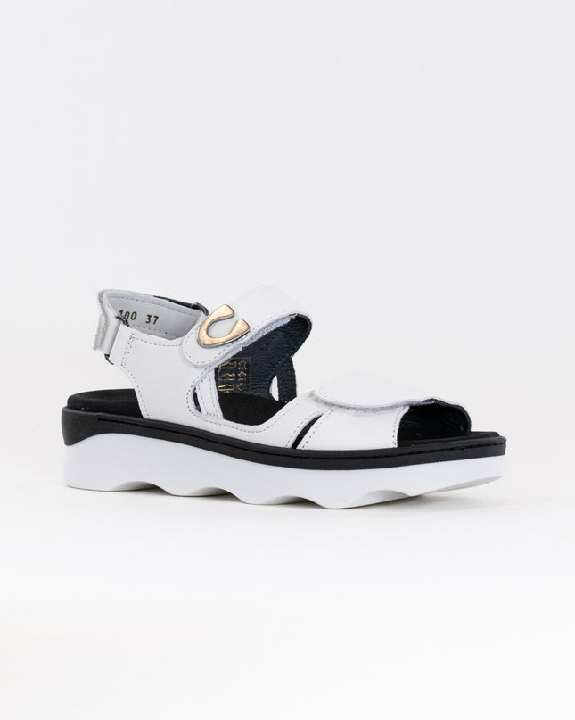 Wolky Medusa (Women's) - White Leather