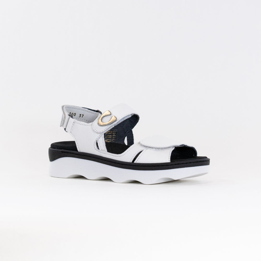 Wolky Medusa (Women's) - White Leather