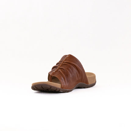 Taos Gift 2 (Women's) - Cognac