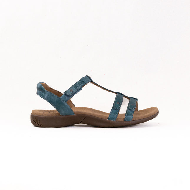 Taos Trophy 2 (Women's) - Teal