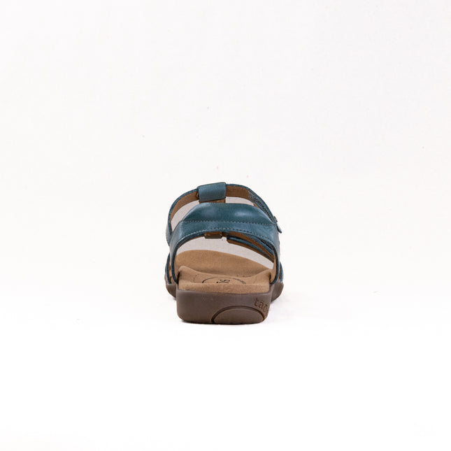 Taos Trophy 2 (Women's) - Teal