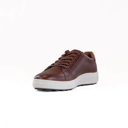 Josef Seibel Maddox 05 (Men's) - Castagne