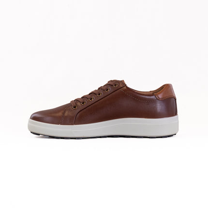 Josef Seibel Maddox 05 (Men's) - Castagne