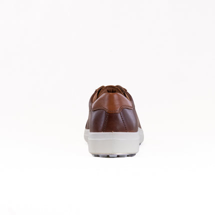 Josef Seibel Maddox 05 (Men's) - Castagne