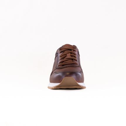 Josef Seibel Axel 02 (Men's) - Cognac Leather