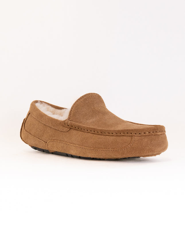 UGG Ascot (Men's) - Chestnut