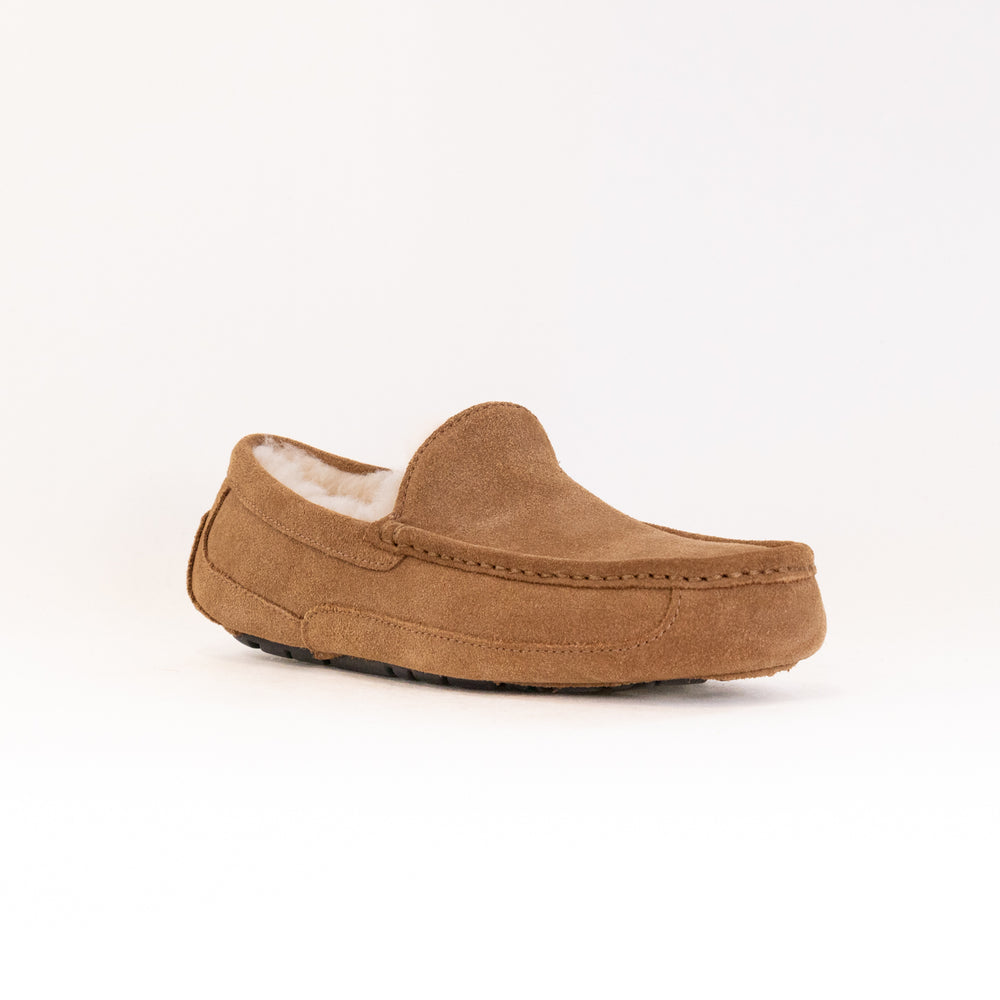 UGG Ascot (Men's) - Chestnut