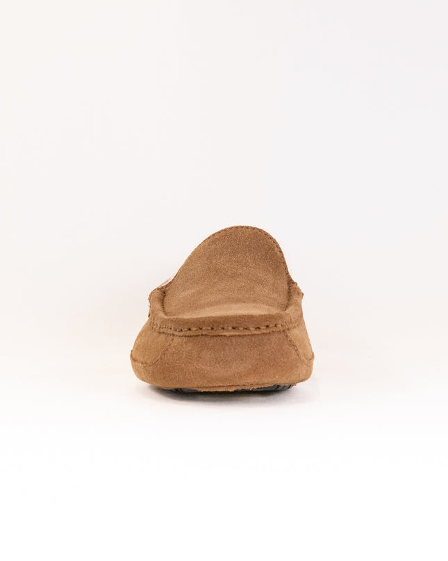 UGG Ascot (Men's) - Chestnut