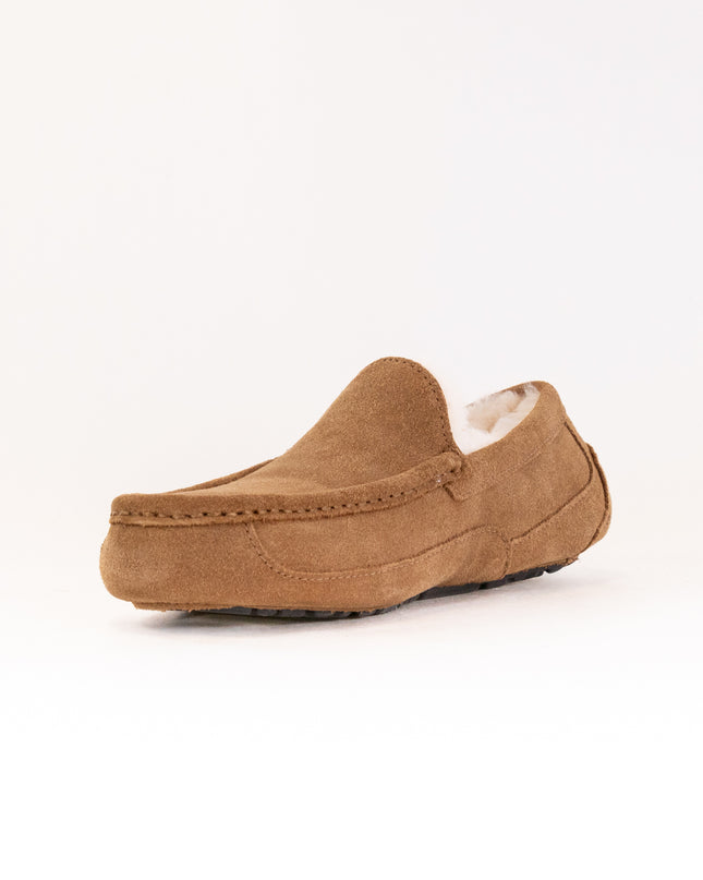 UGG Ascot (Men's) - Chestnut