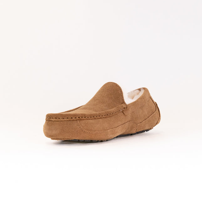 UGG Ascot (Men's) - Chestnut