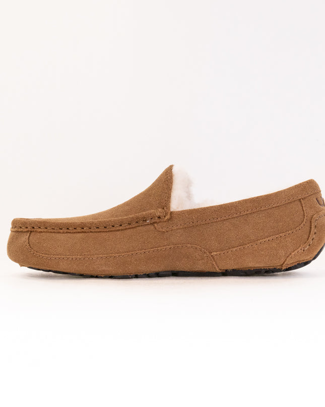 UGG Ascot (Men's) - Chestnut