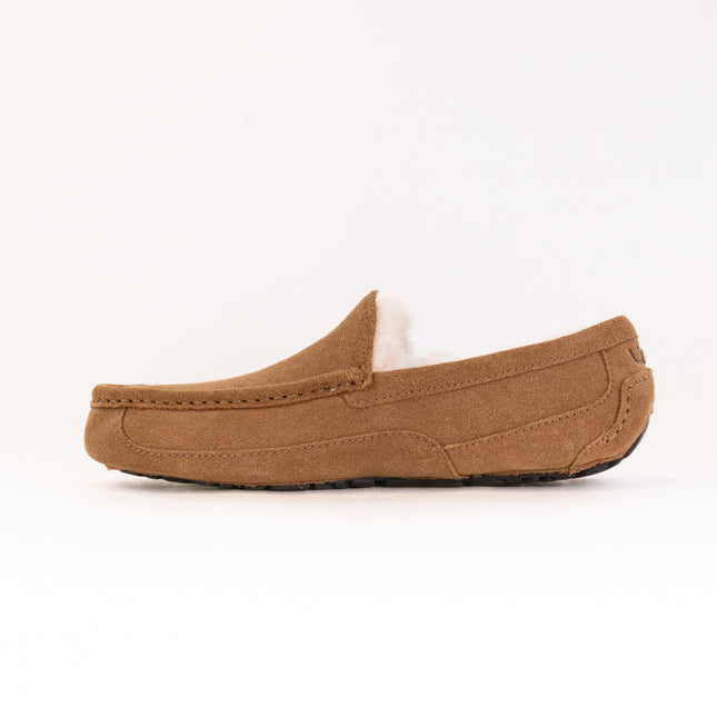 UGG Ascot (Men's) - Chestnut