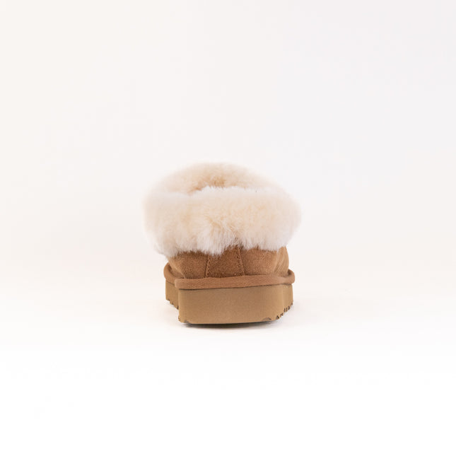 UGG Tazzette (Women's) - Chestnut