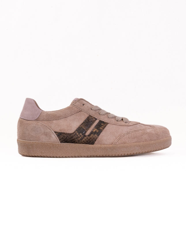 Gabor Brooke Sneaker (Women's) - Beige Combi