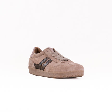 Gabor Brooke Sneaker (Women's) - Beige Combi