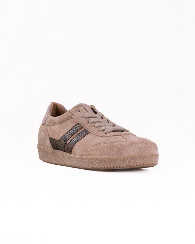 Gabor Brooke Sneaker (Women's) - Beige Combi