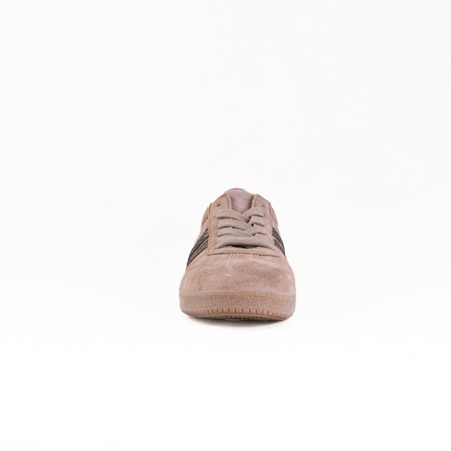 Gabor Brooke Sneaker (Women's) - Beige Combi