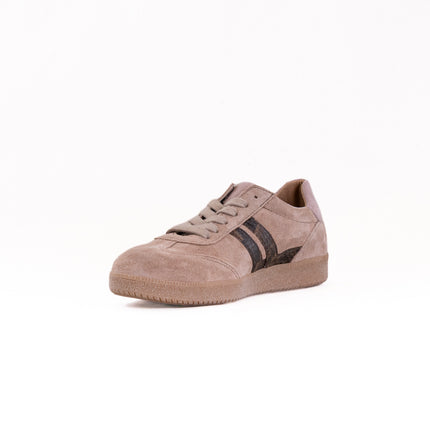 Gabor Brooke Sneaker (Women's) - Beige Combi
