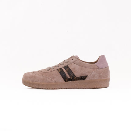 Gabor Brooke Sneaker (Women's) - Beige Combi