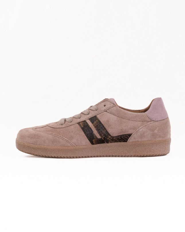 Gabor Brooke Sneaker (Women's) - Beige Combi