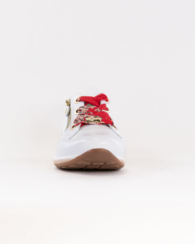 Ara Ollie Size Zip Lace Sneaker (Women's) - White/Silver