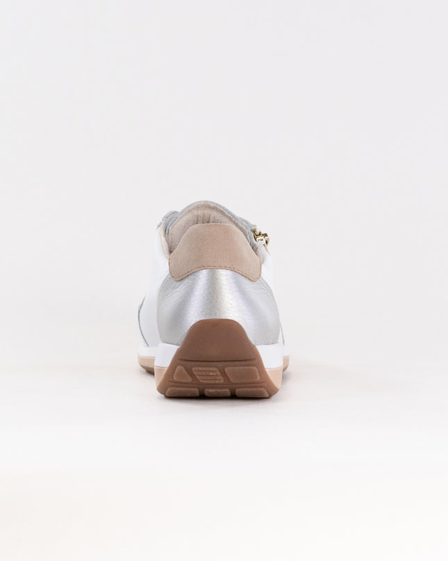 Ara Ollie Size Zip Lace Sneaker (Women's) - White/Silver