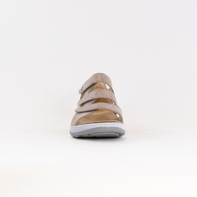 Fidelio Hilani (Women's) - Nocciola Float/Corny