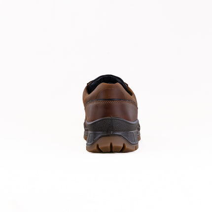 Ecco Track 25 GTX Walker (Men's) - Camel/Black