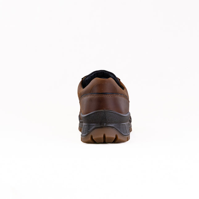 Ecco Track 25 GTX Walker (Men's) - Camel/Black